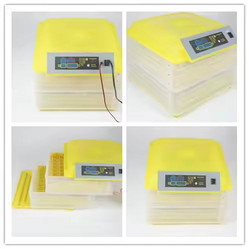 Incubateur Automatique à Œufs 112 Œufs – Double Alimentation (220V & 12V), Contrôle Digital, Retournement Automatique - RDC EBUYZONE.NET