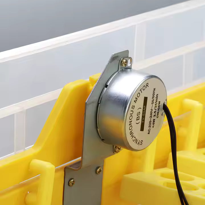 Incubateur Automatique à Œufs 112 Œufs – Double Alimentation (220V & 12V), Contrôle Digital, Retournement Automatique - RDC EBUYZONE.NET