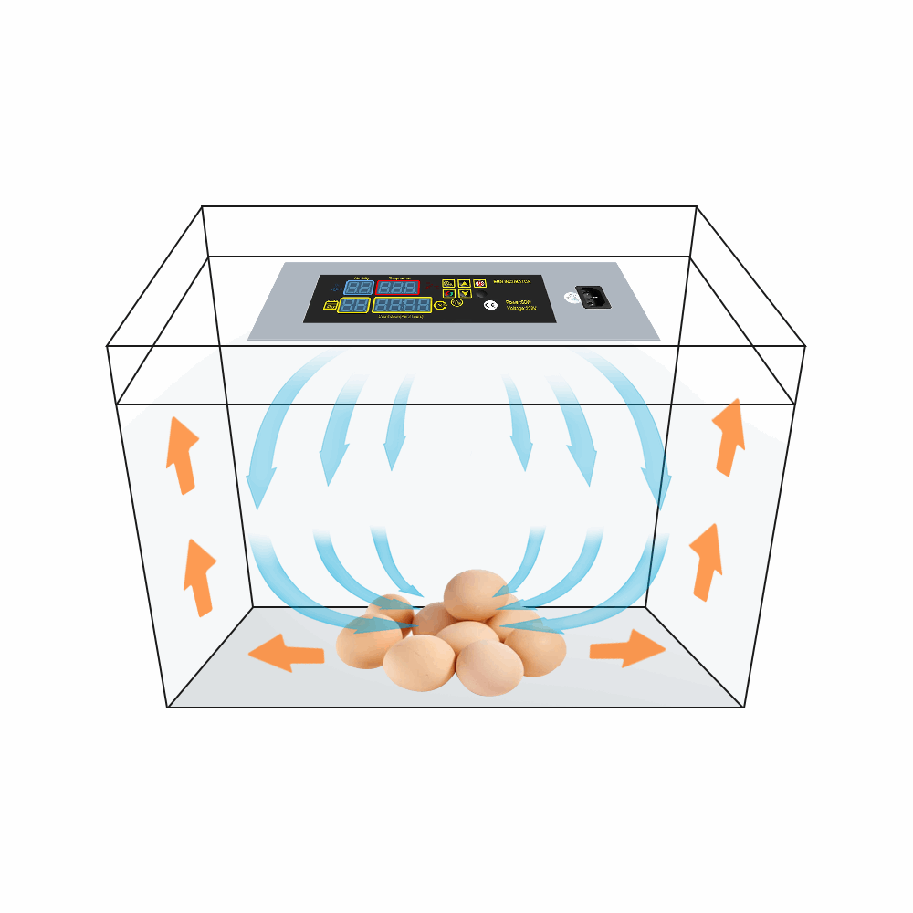 Panneau de Contrôle Digital pour Incubateur Automatique d’Œufs – Double Alimentation, Gestion Température Précise – RDC