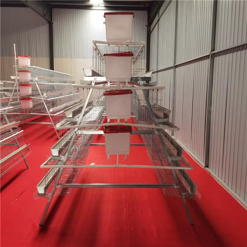 Cage pondeuses 4 niveaux (5 portes) â 160 poules đ - eBUYZONE.NET