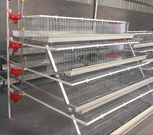 Cage pondeuses 4 niveaux (5 portes) â 160 poules đ - eBUYZONE.NET