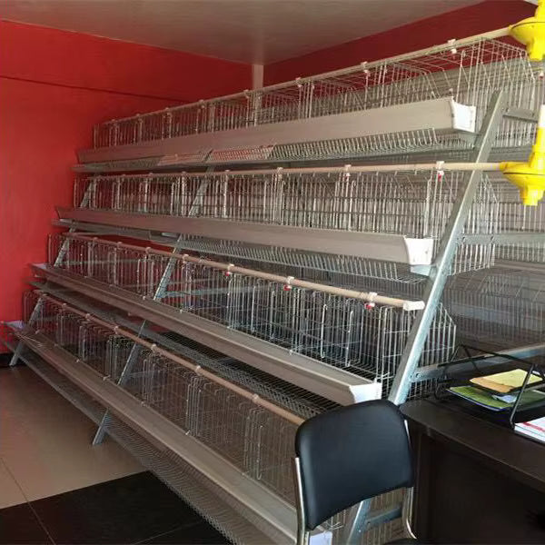 Cage pondeuses 4 niveaux (5 portes) â 160 poules đ - eBUYZONE.NET