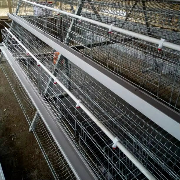 Cage pondeuses 4 niveaux (5 portes) â 160 poules đ - eBUYZONE.NET