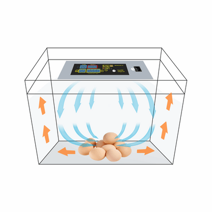 Panneau de Contrôle Digital pour Incubateur Automatique d’Œufs – Double Alimentation, Gestion Température Précise – RDC
