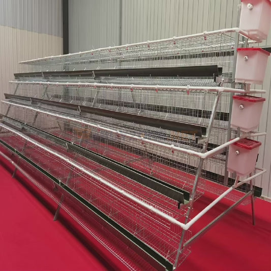 Cage pondeuses 4 niveaux (5 portes) – 160 poules 🐔