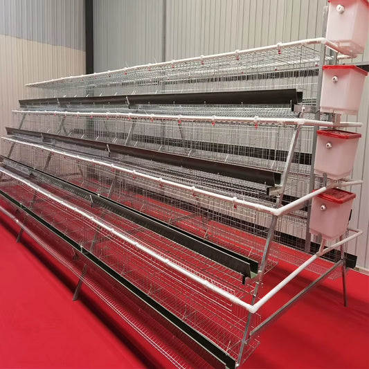 Cage pondeuses 4 niveaux (5 portes) – 160 poules 🐔 - eBUYZONE.NET