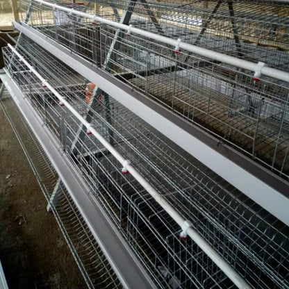 Cage pondeuses 4 niveaux (5 portes) – 160 poules 🐔 - eBUYZONE.NET